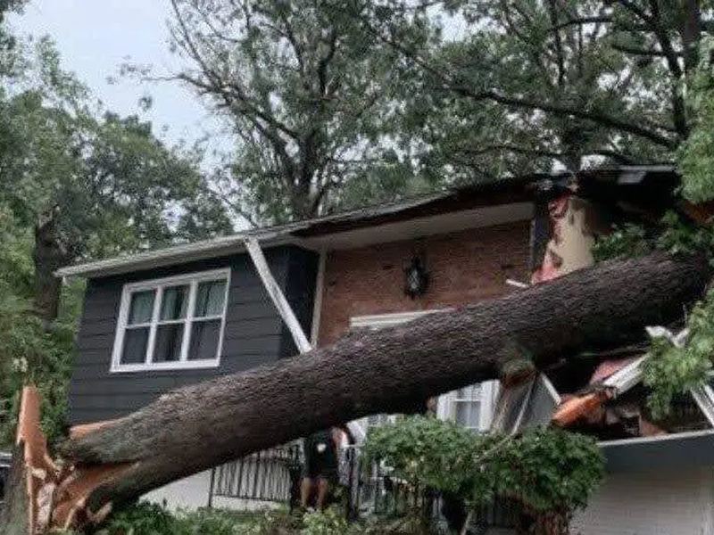 Tree removal job in the College Hill neighborhood of Iowa City