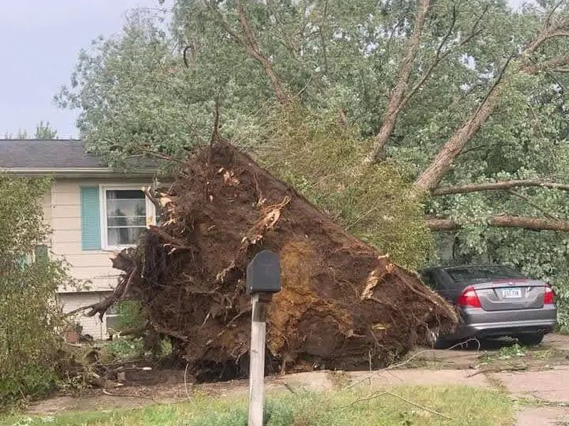 Tree removal job in the Downtown neighborhood of Iowa City