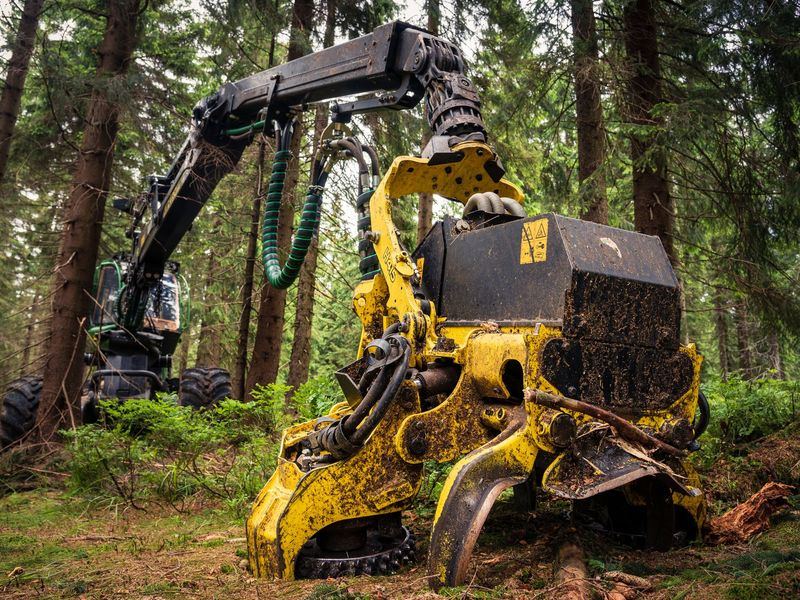 Tree removal job near Mount Vernon, IA
